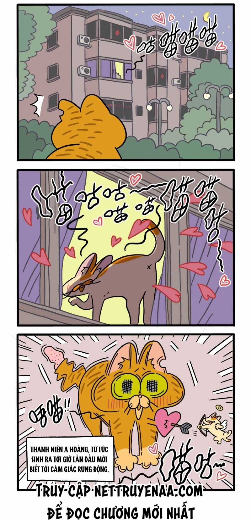 A Mãn Và Mạch Trà Chapter 18 trang 1