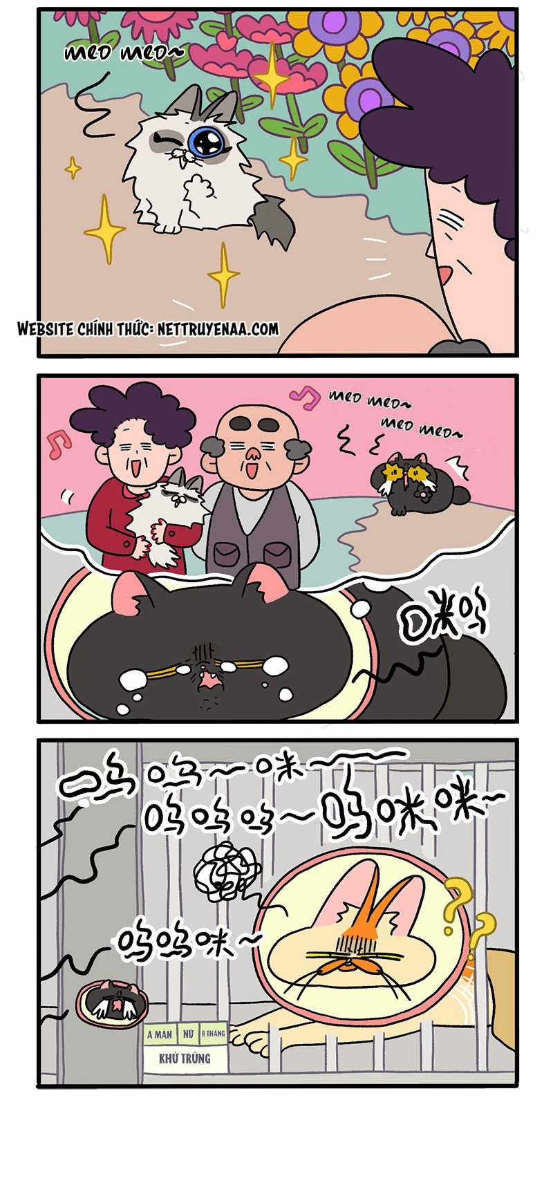 A Mãn Và Mạch Trà Chapter 19 trang 1