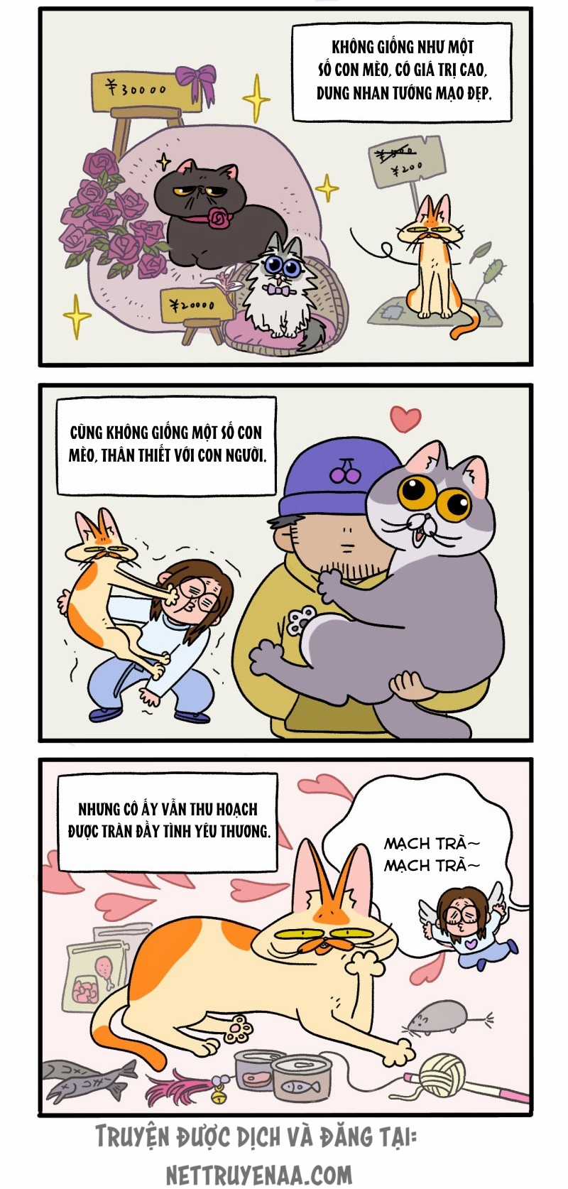 A Mãn Và Mạch Trà Chapter 2 trang 1