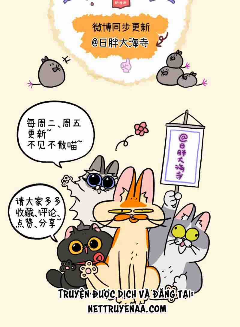 A Mãn Và Mạch Trà Chapter 22.2 trang 8