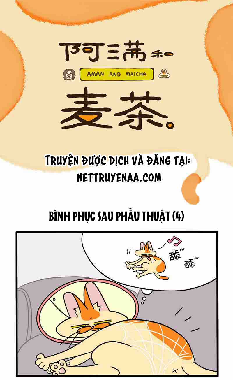 A Mãn Và Mạch Trà Chapter 23.1 trang 0