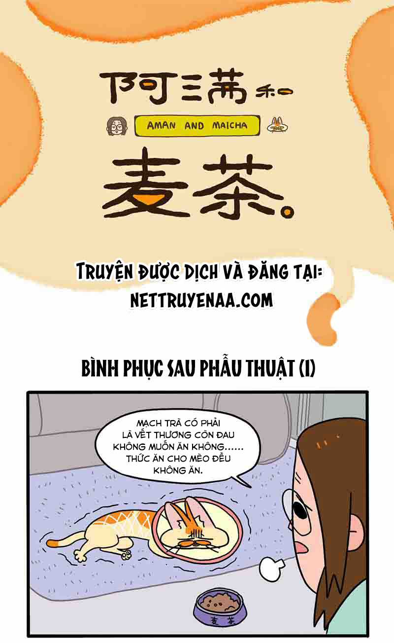 A Mãn Và Mạch Trà Chapter 23 trang 0