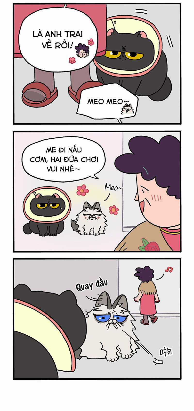 A Mãn Và Mạch Trà Chapter 31 trang 1