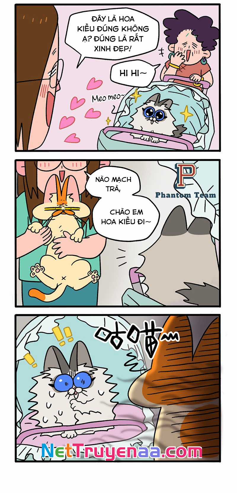 A Mãn Và Mạch Trà Chapter 33 trang 1