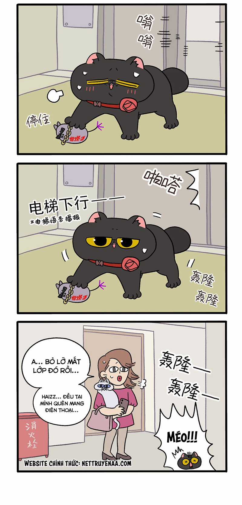 A Mãn Và Mạch Trà Chapter 36.1 trang 1