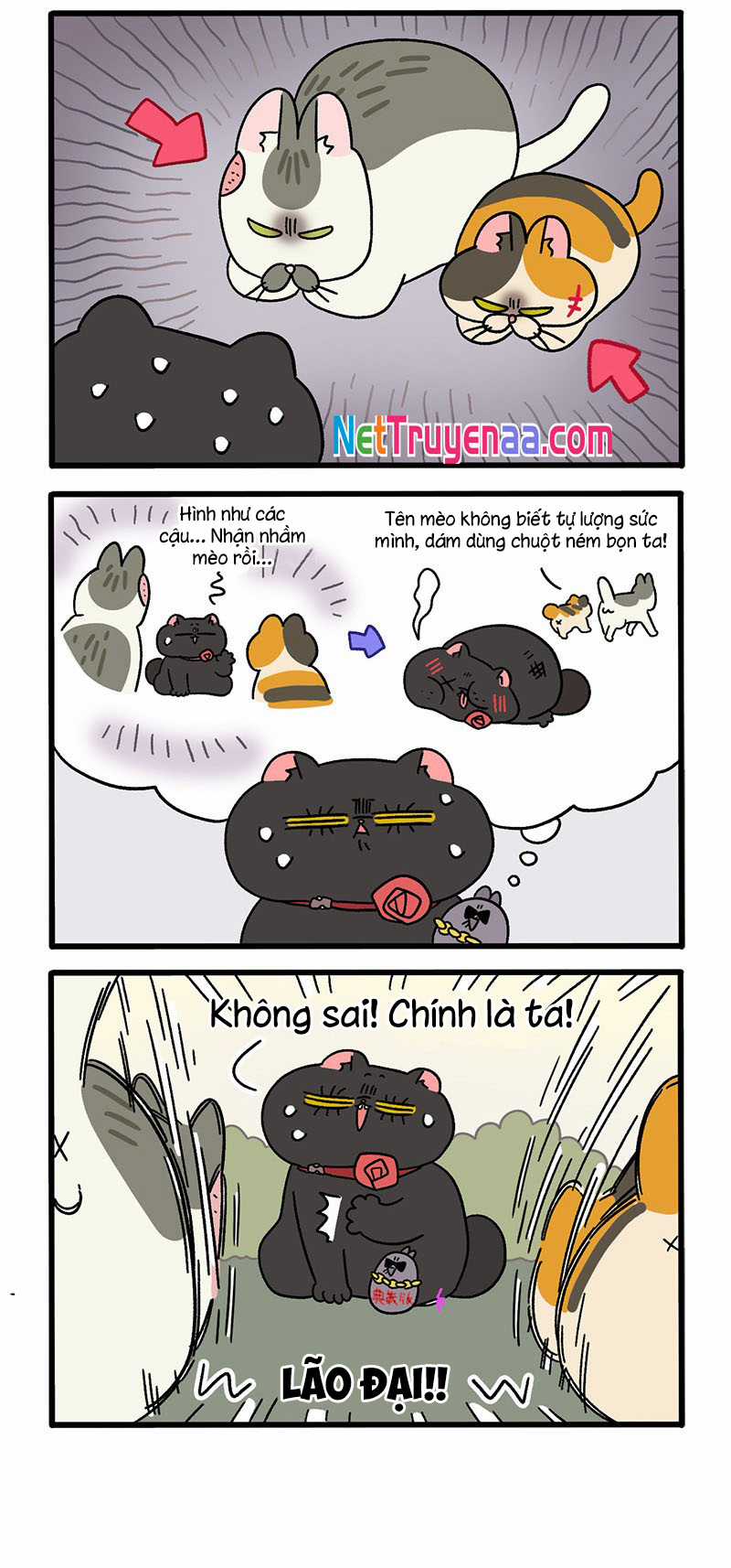 A Mãn Và Mạch Trà Chapter 38 trang 1