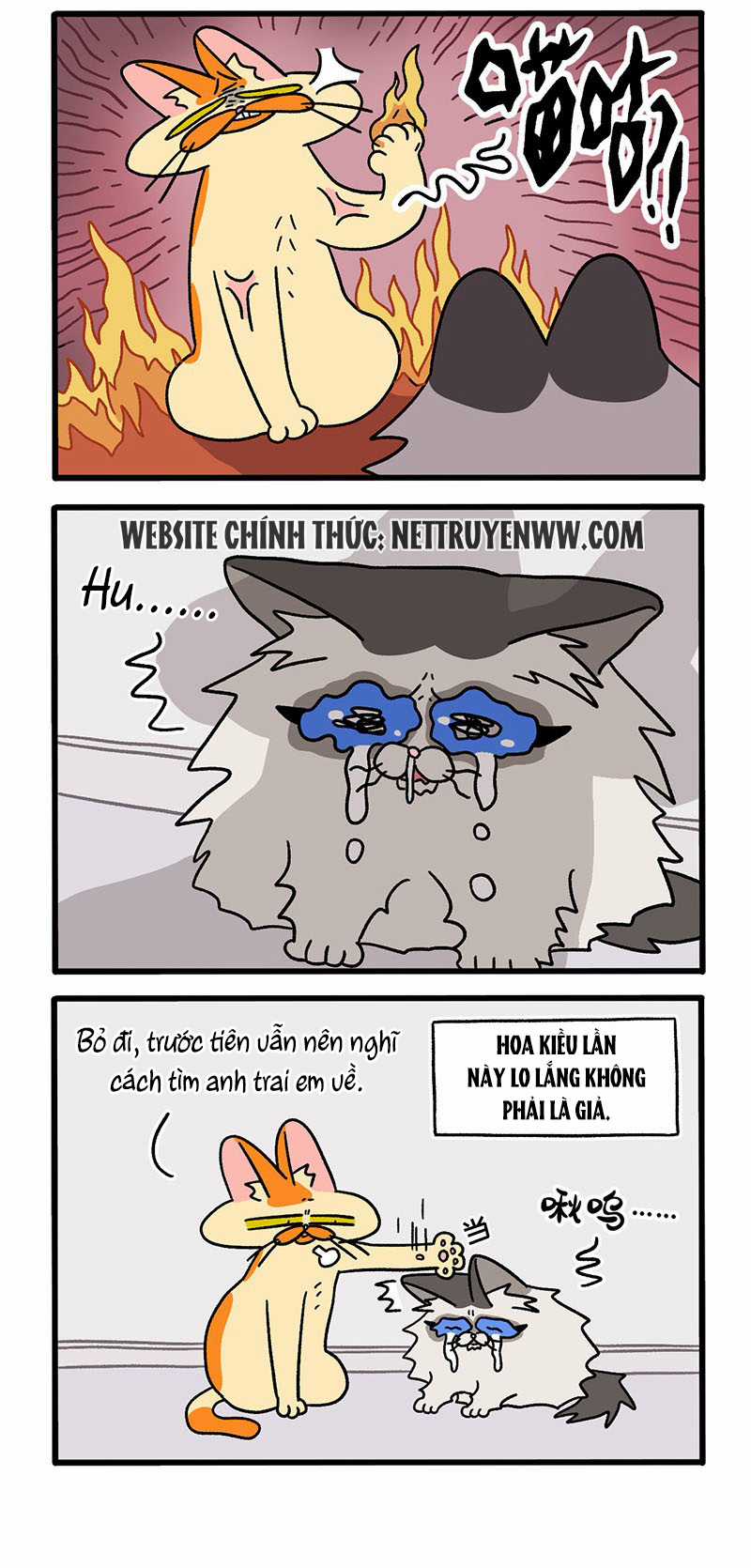 A Mãn Và Mạch Trà Chapter 39.1 trang 1