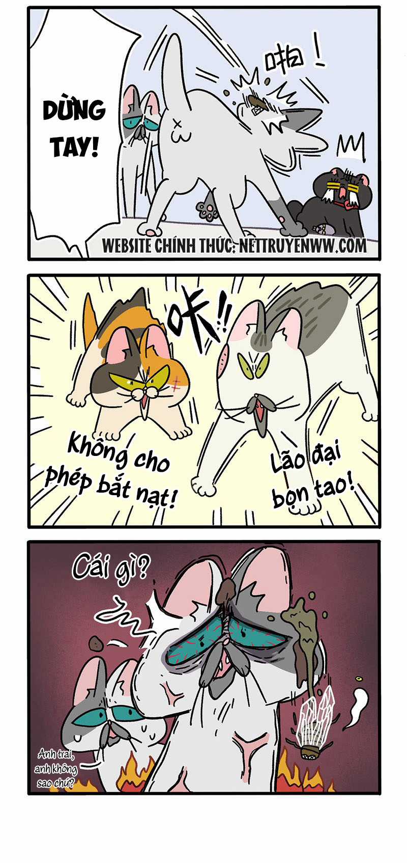 A Mãn Và Mạch Trà Chapter 40.1 trang 1