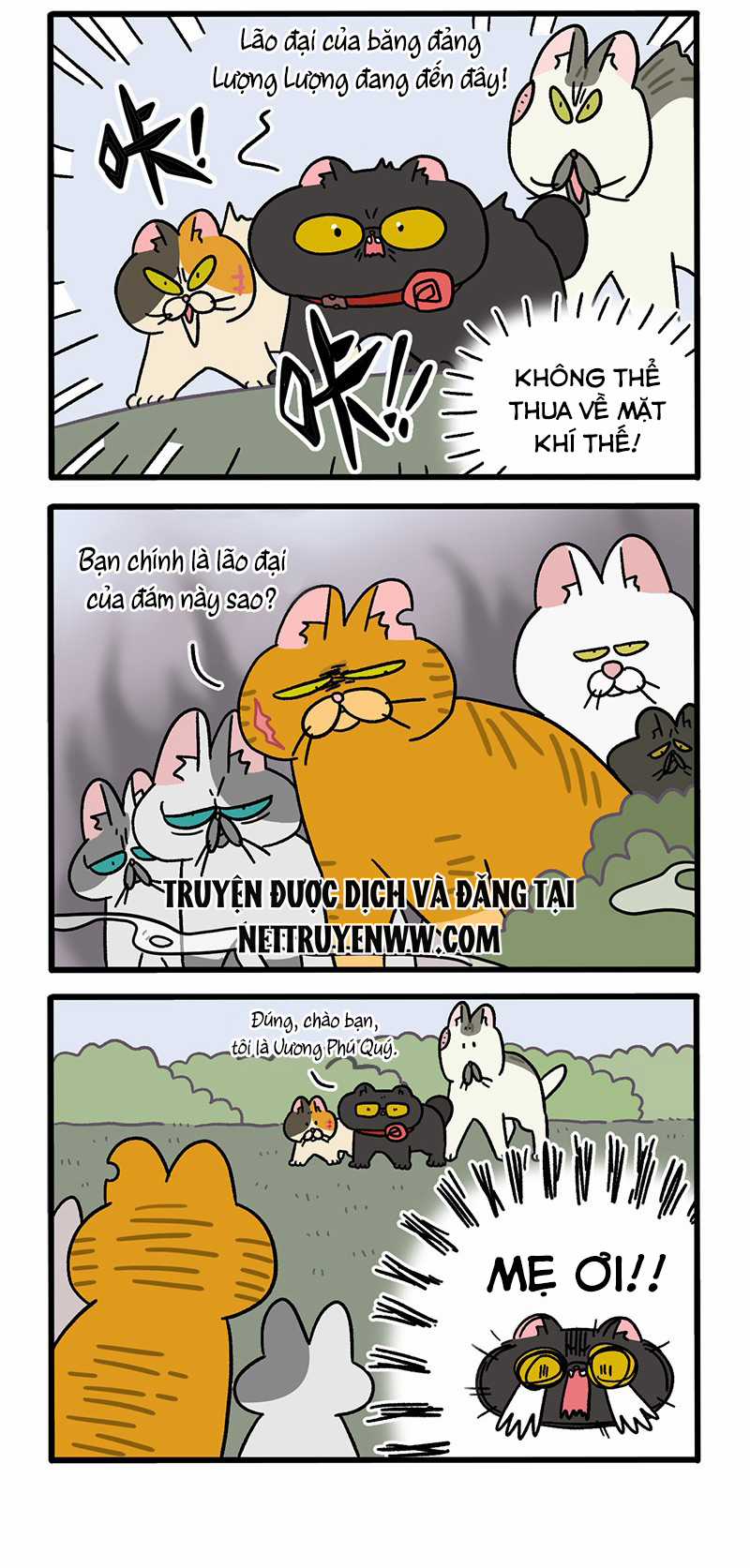 A Mãn Và Mạch Trà Chapter 43 trang 1