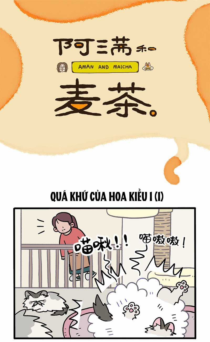 A Mãn Và Mạch Trà Chapter 47 trang 0