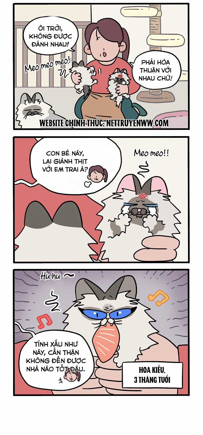 A Mãn Và Mạch Trà Chapter 47 trang 1