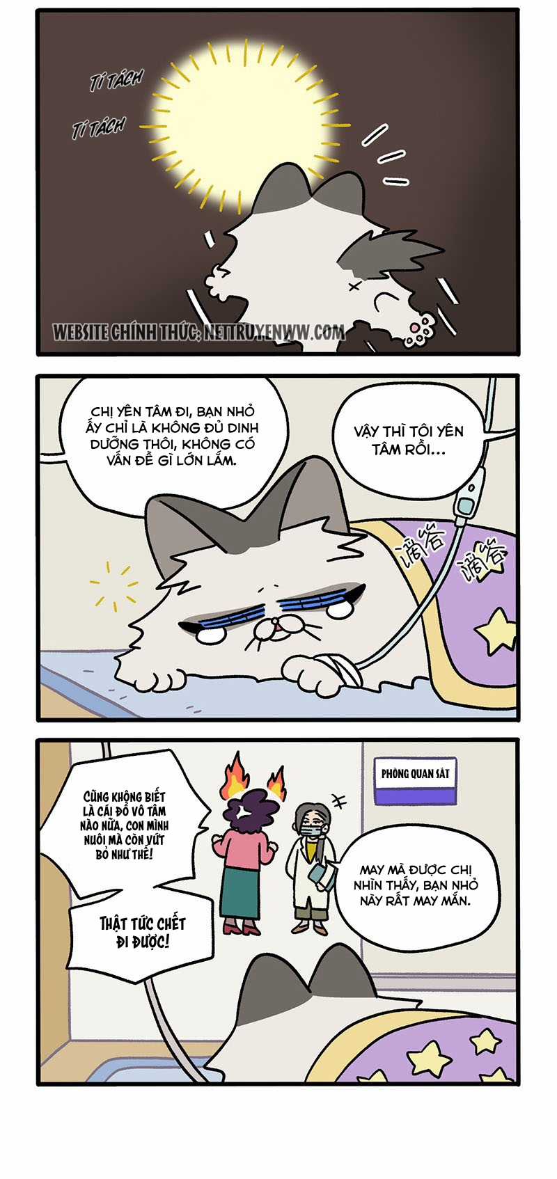 A Mãn Và Mạch Trà Chapter 48.1 trang 1