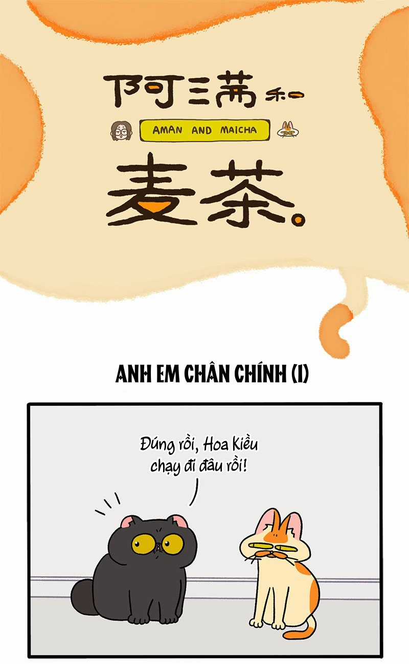 A Mãn Và Mạch Trà Chapter 49 trang 0