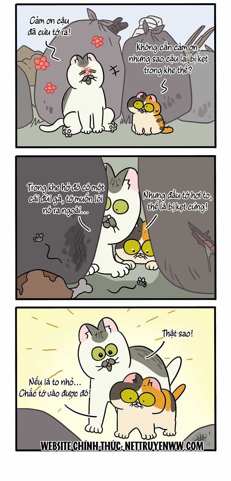 A Mãn Và Mạch Trà Chapter 50.3 trang 1