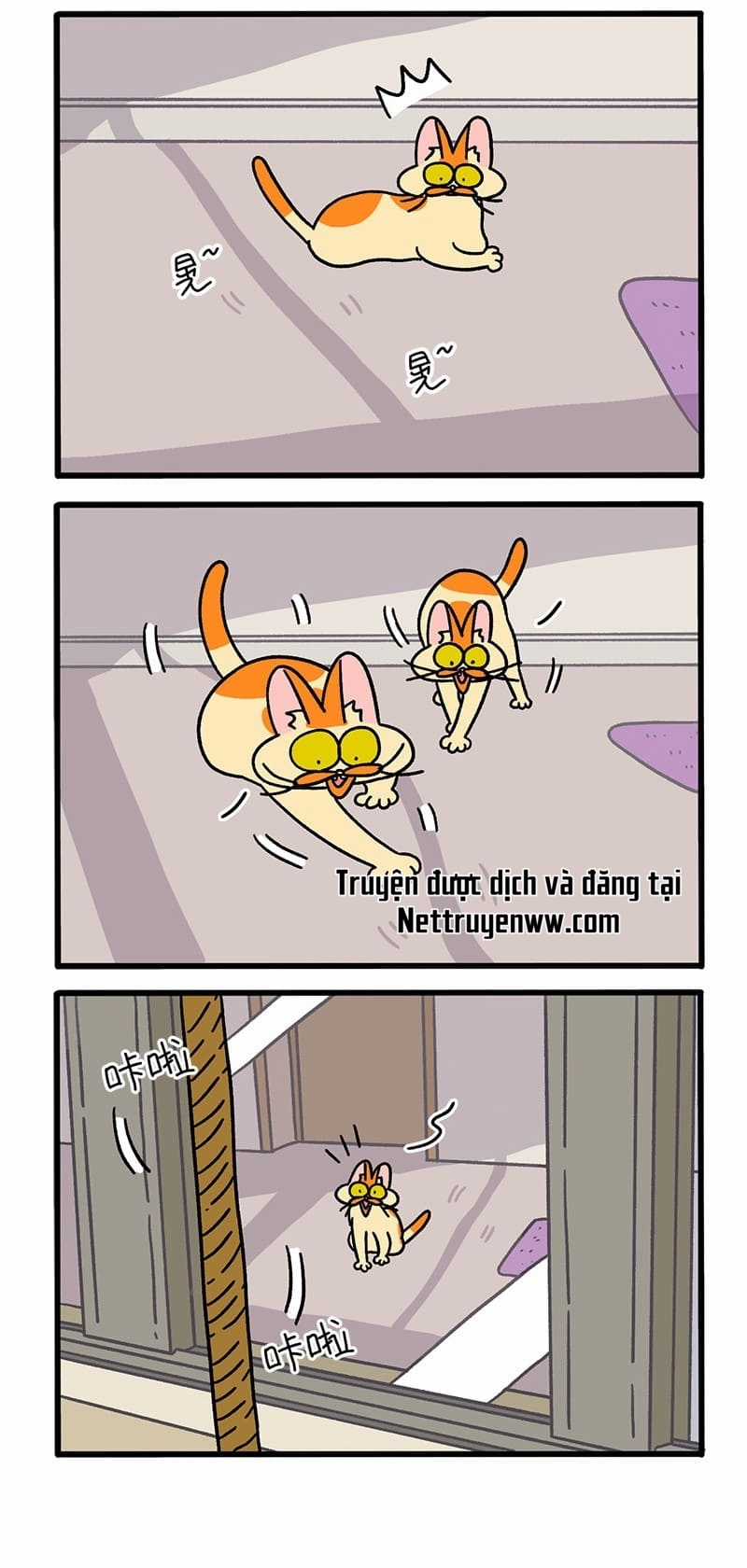 A Mãn Và Mạch Trà Chapter 54 trang 1