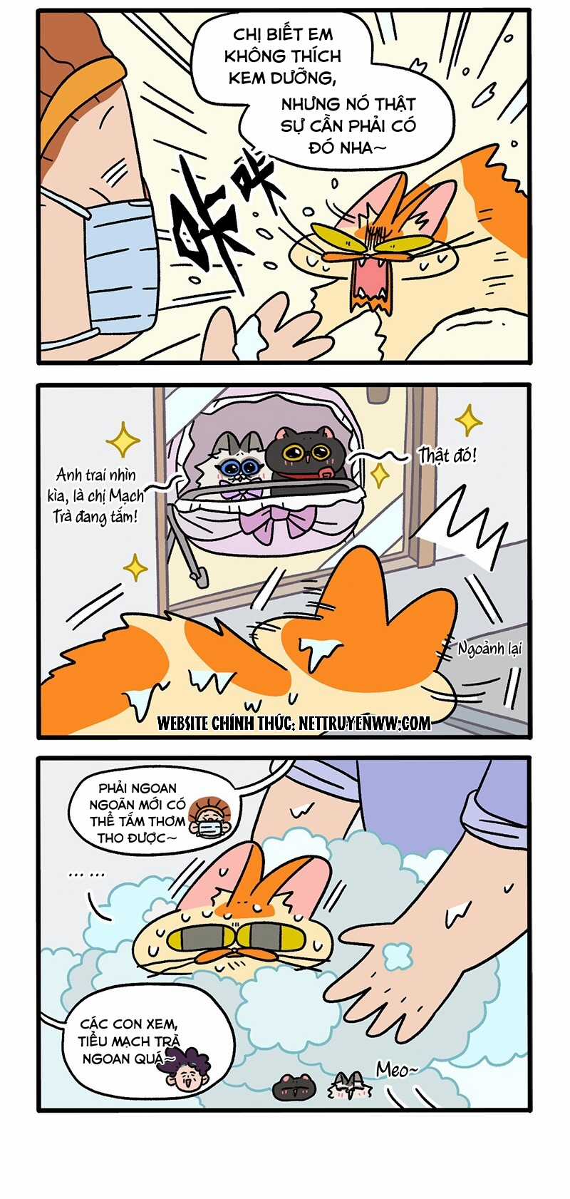 A Mãn Và Mạch Trà Chapter 56.1 trang 1