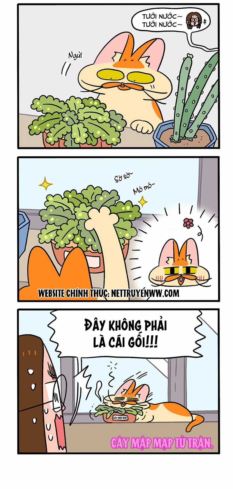 A Mãn Và Mạch Trà Chapter 57 trang 1