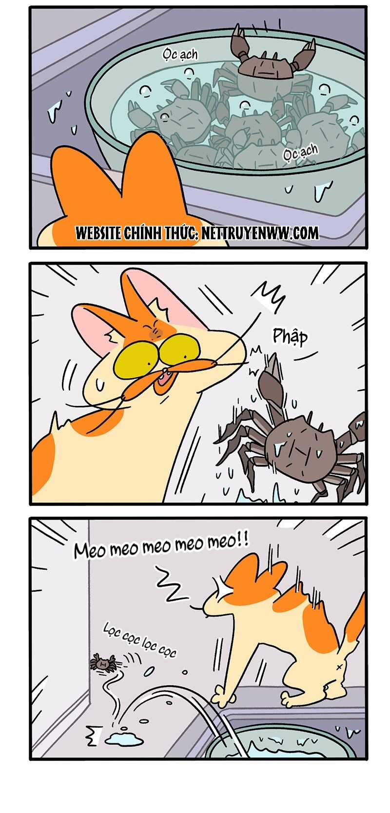 A Mãn Và Mạch Trà Chapter 58 trang 1