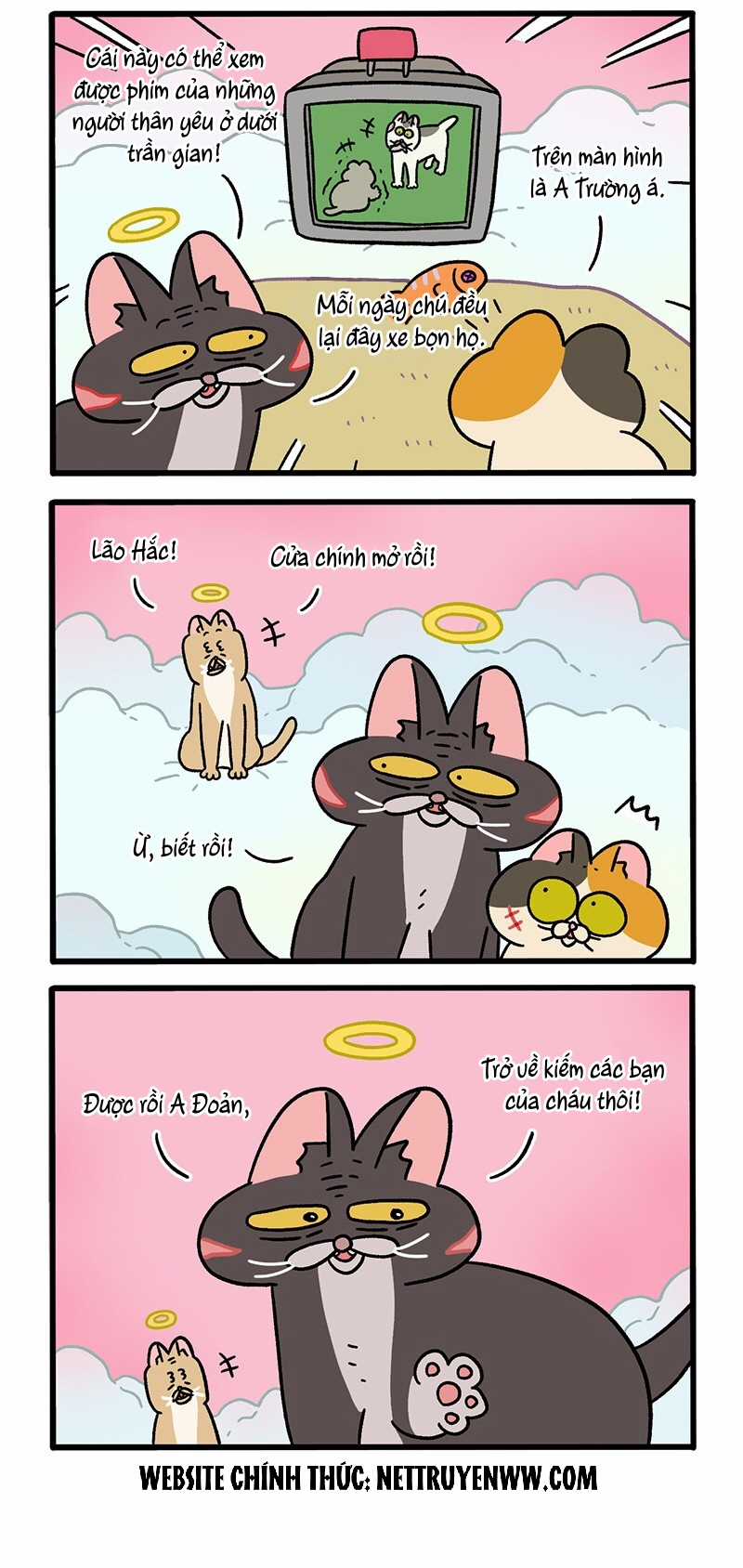 A Mãn Và Mạch Trà Chapter 59.7 trang 1