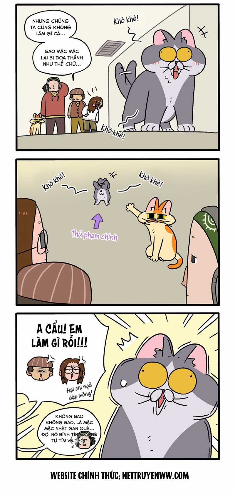 A Mãn Và Mạch Trà Chapter 68 trang 1