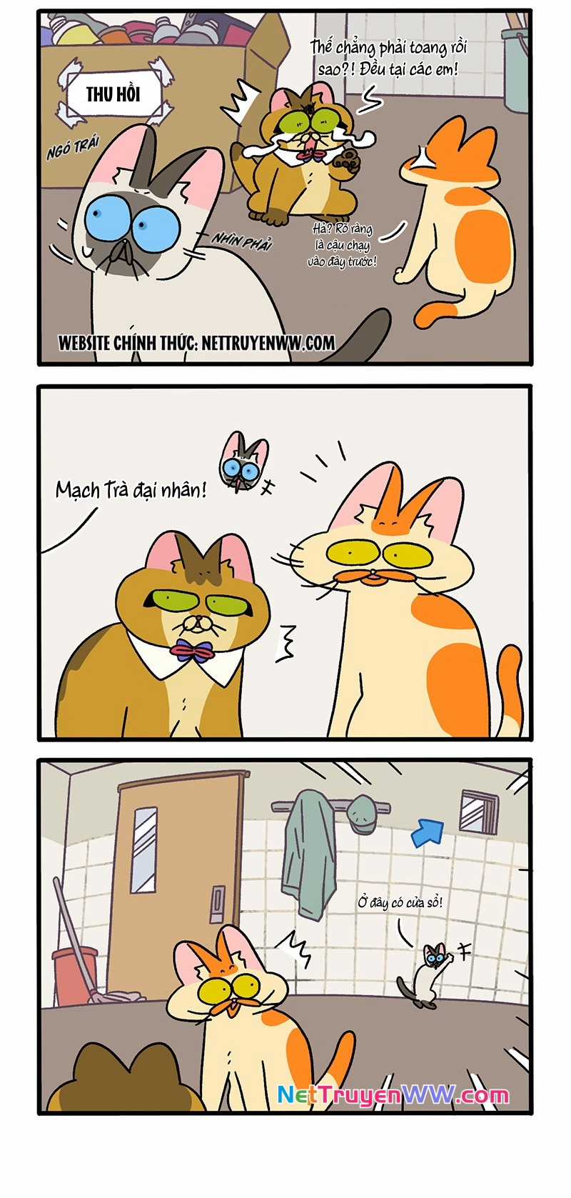 A Mãn Và Mạch Trà Chapter 70 trang 1
