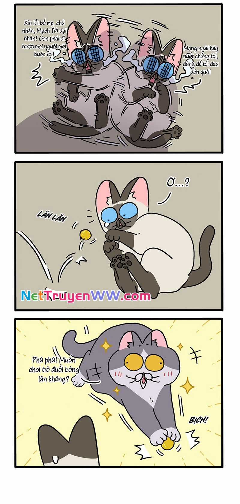 A Mãn Và Mạch Trà Chapter 71.1 trang 1