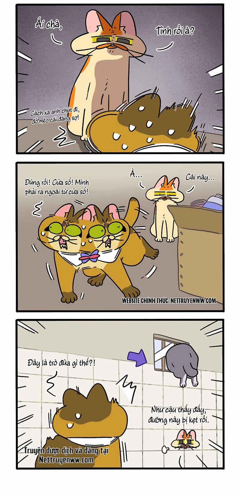 A Mãn Và Mạch Trà Chapter 73 trang 1