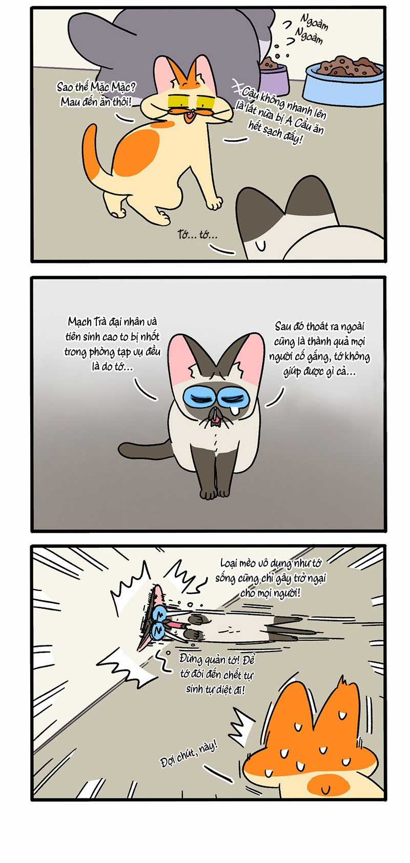 A Mãn Và Mạch Trà Chapter 79 trang 1