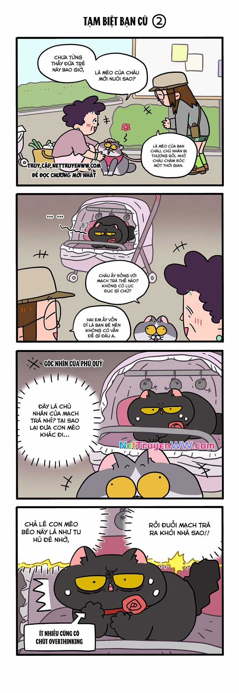 A Mãn Và Mạch Trà Chapter 96 trang 1