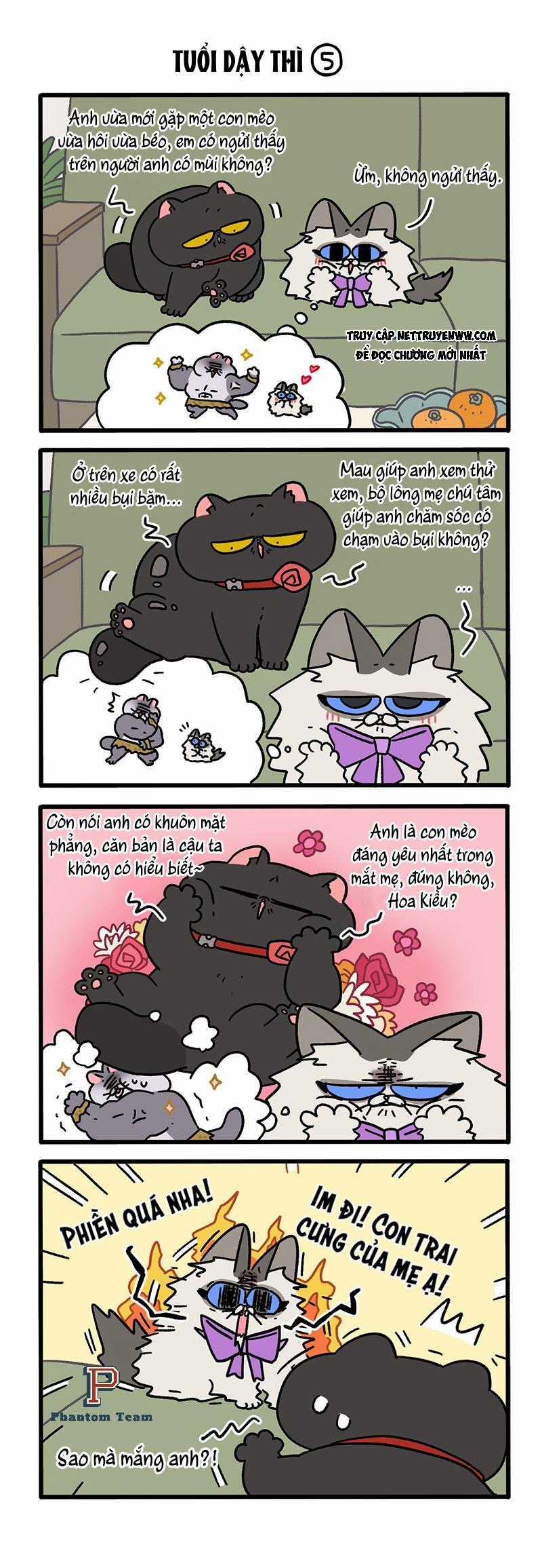 A Mãn Và Mạch Trà Chapter 97.2 trang 1