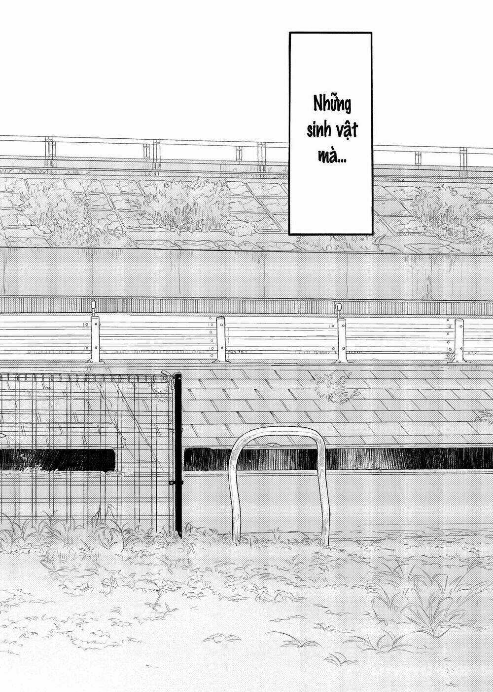 Á Nhân Chapter 44 trang 5