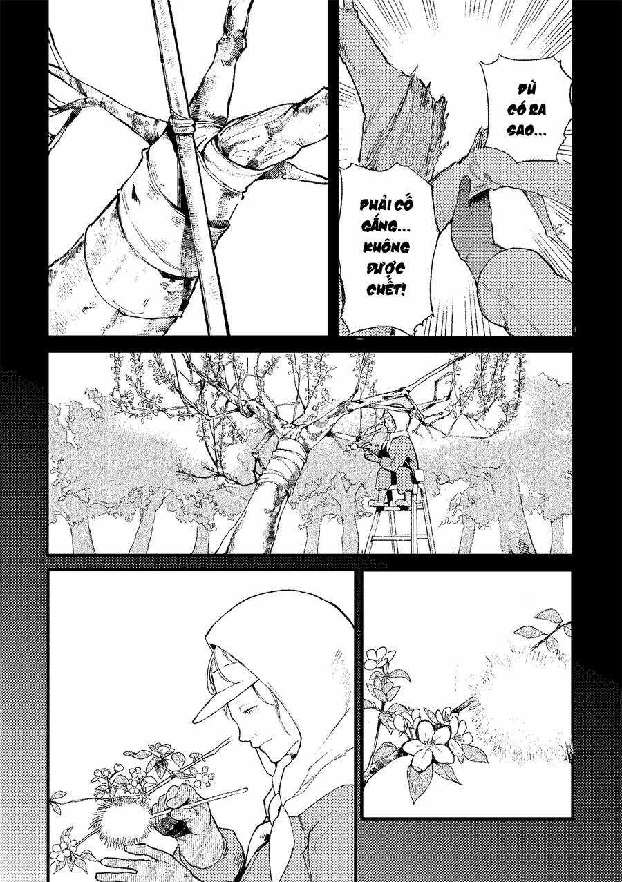 A Story About A Granpa And Granma Returned Back To Their Youth Chapter 194.5 trang 14