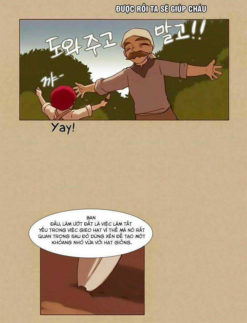 Abide In The Wind Chapter 13 trang 12