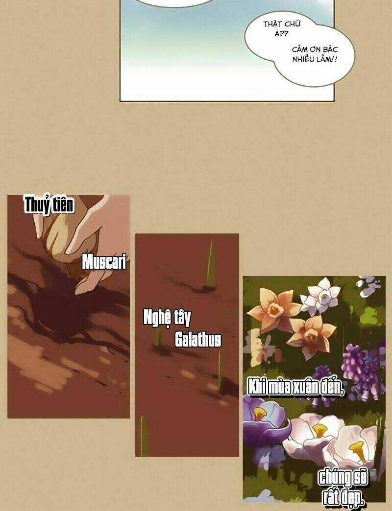 Abide In The Wind Chapter 13 trang 14