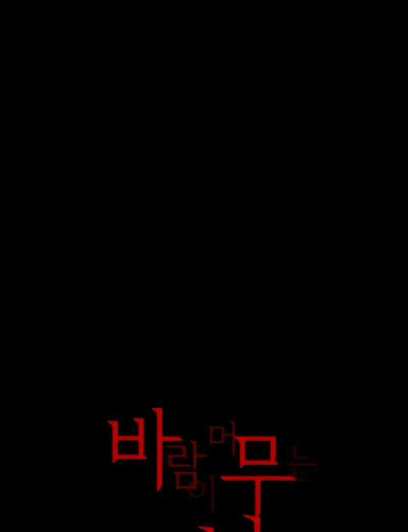 Abide In The Wind Chapter 13 trang 3