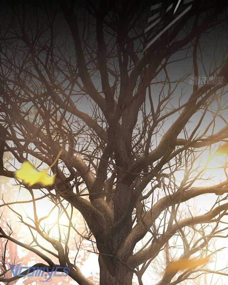 Ác Chi Hoàn Chương 50 trang 127