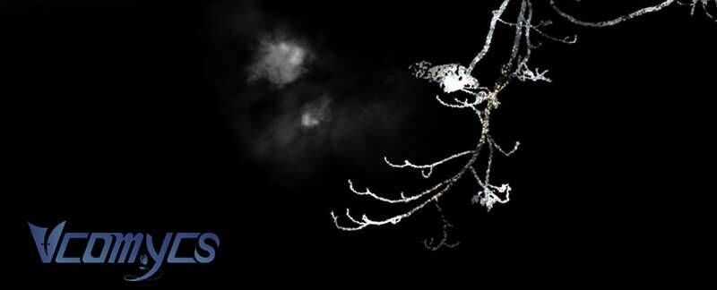 Ác Chi Hoàn Chương 51 trang 24