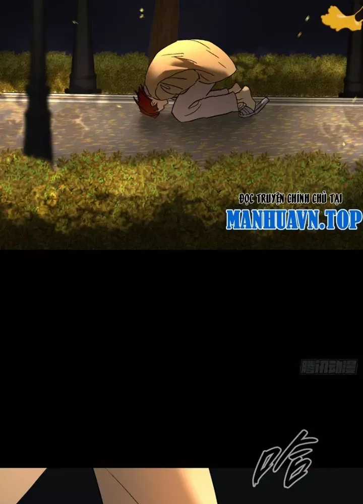 Ác Chi Hoàn Chương 52 trang 339