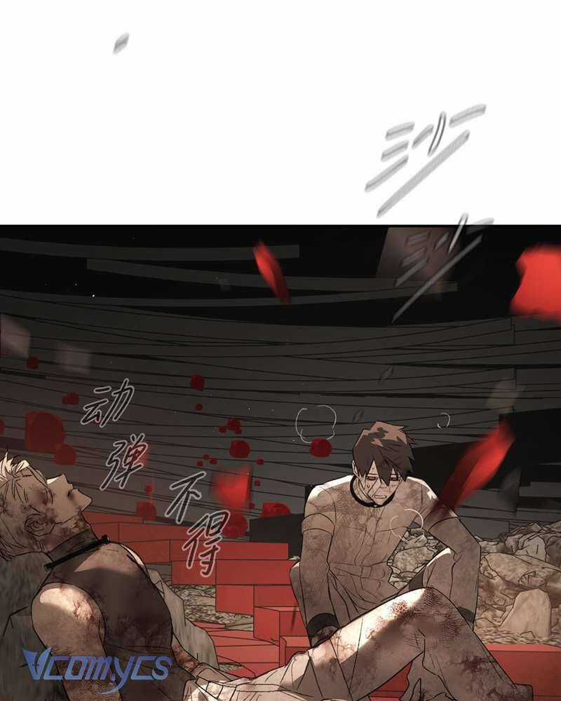 Ác Chi Hoàn Chương 57 trang 10