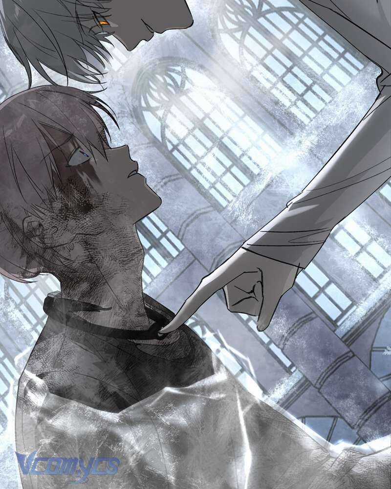 Ác Chi Hoàn Chương 57 trang 81