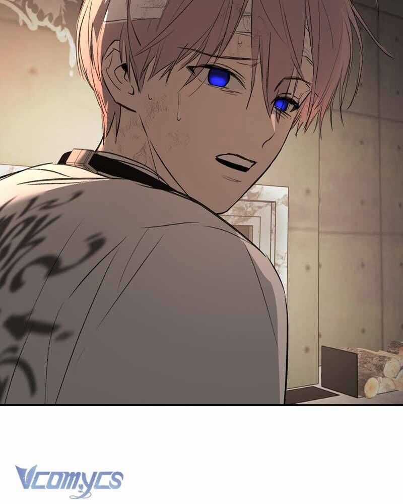 Ác Chi Hoàn Chương 58 trang 28