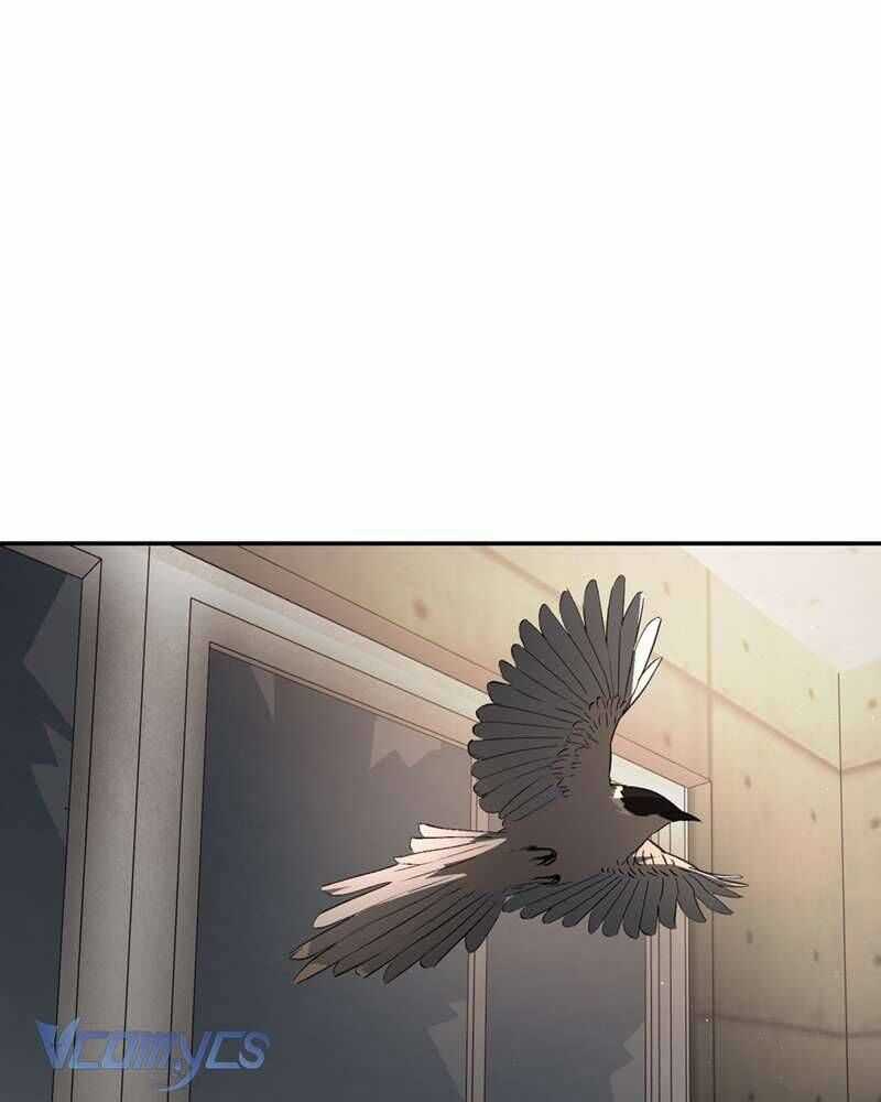 Ác Chi Hoàn Chương 58 trang 97