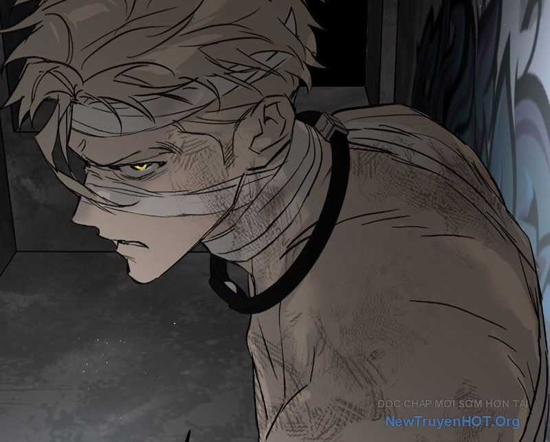 Ác Chi Hoàn Chương 59 trang 137