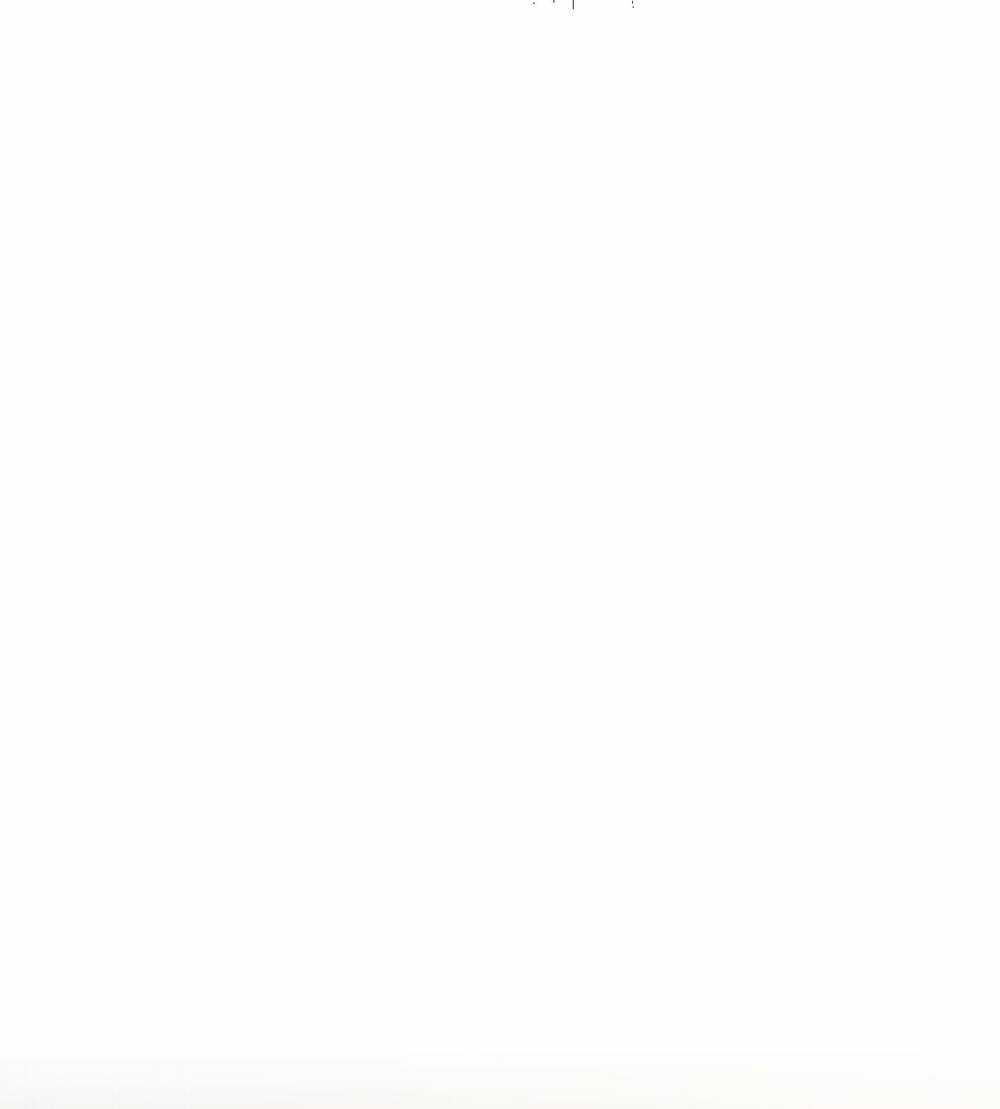 Ác Ma May Mắn Chapter 14 trang 34