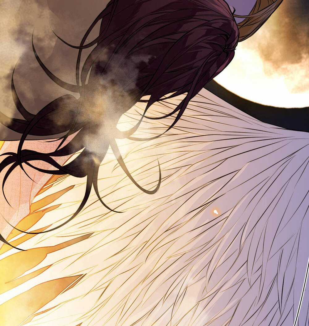 Ác Ma May Mắn Chapter 36 trang 11