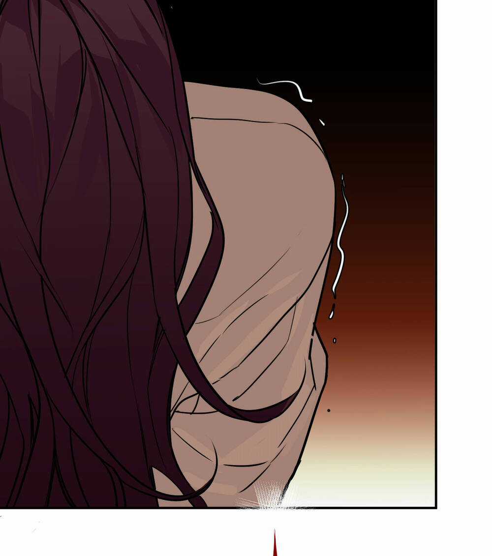 Ác Ma May Mắn Chapter 37 trang 52