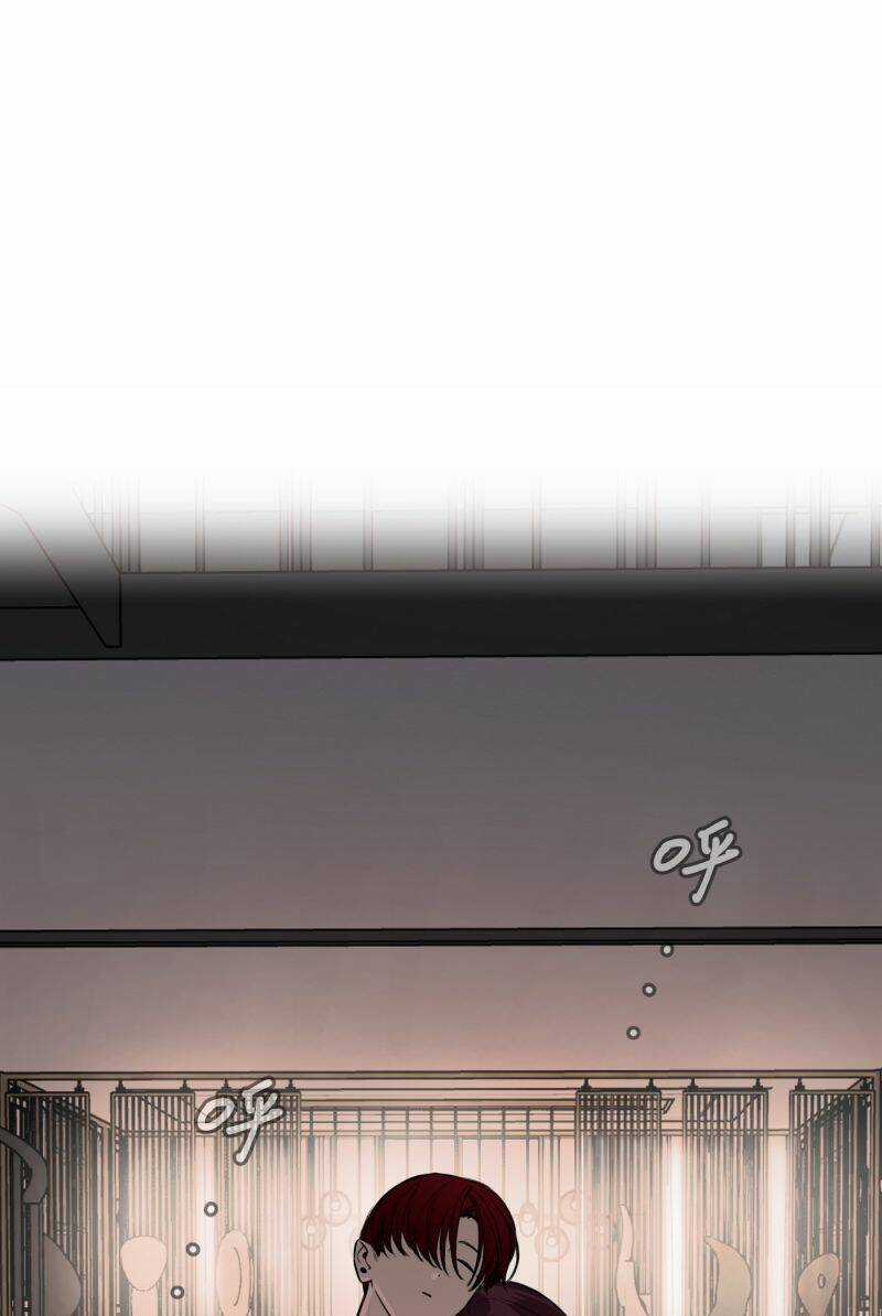 Ác Ma May Mắn Chapter 53 trang 12