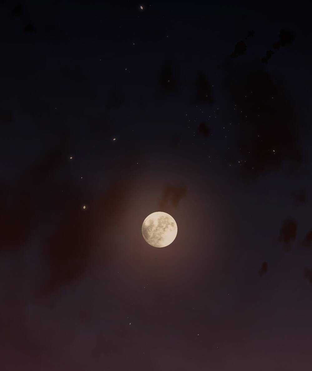 Ác Ma May Mắn Chapter 56 trang 16