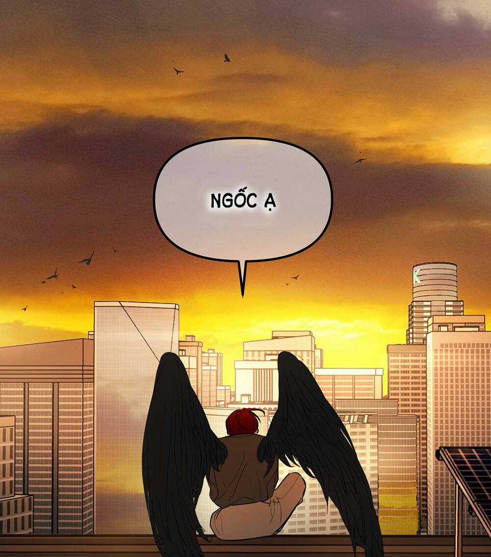 Ác Ma May Mắn Chapter 61 trang 24