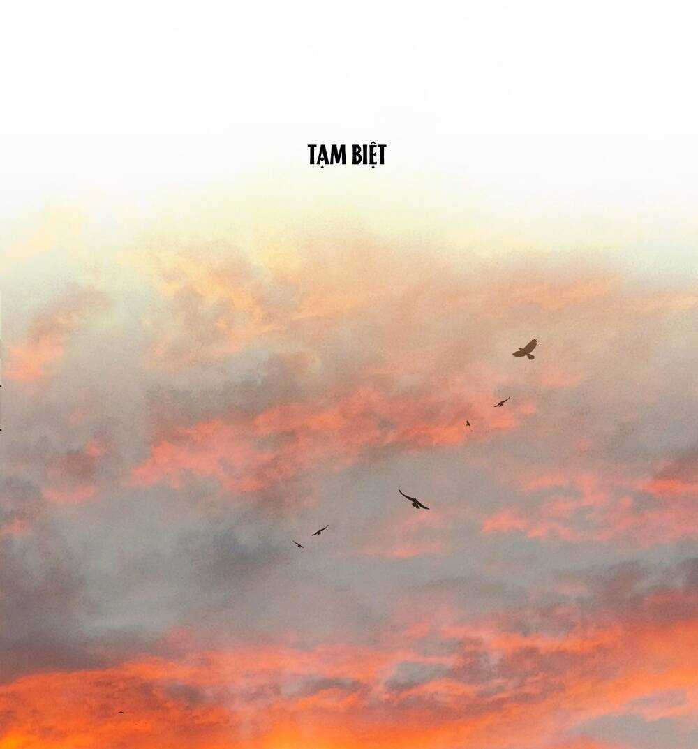 Ác Ma May Mắn Chapter 62 trang 7